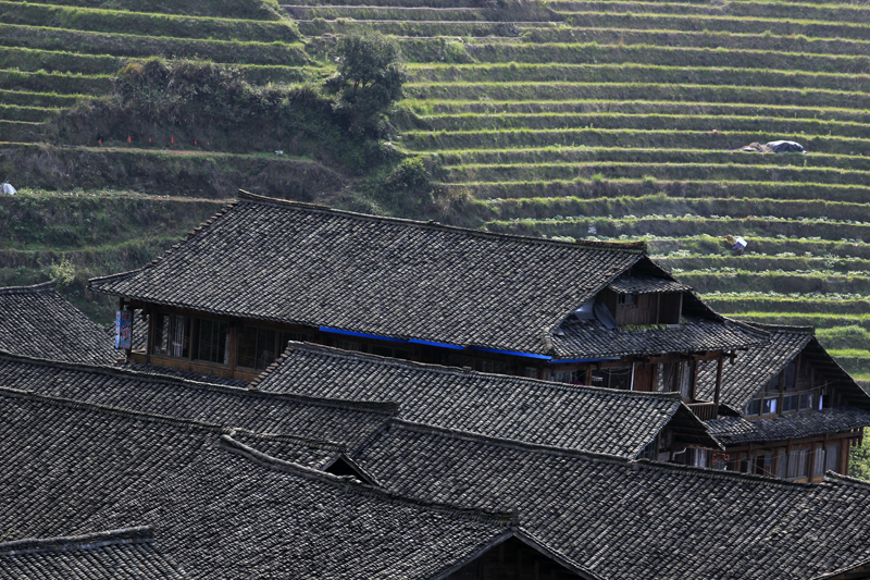 2017-04-12_092206 china-2017.jpg - Longsheng - Pingan - Reisterassen